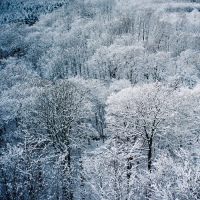 Mørkeblå II (drone version) (EP)