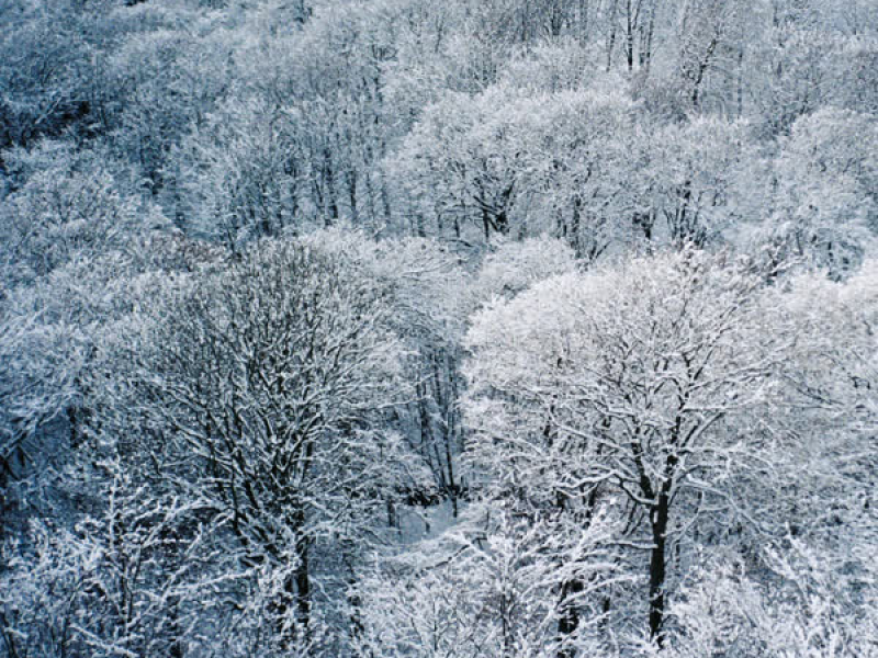 Mørkeblå II (drone version) (EP)