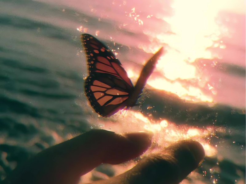 Broken Halos (Single)