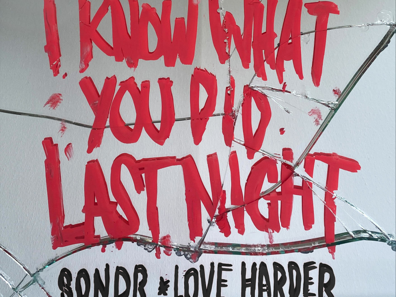 I Know What You Did Last Night (Single)