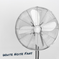 White Noise Fans (Single)