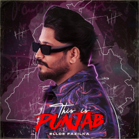 This is Punjab (Single)