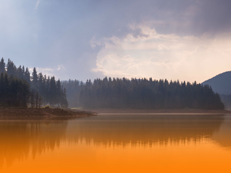 Healing Instrumental Music For Massage Therapy And Holistic Wellness Sessions (Single)