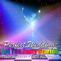 Perfect Wedding: Get The Party Started