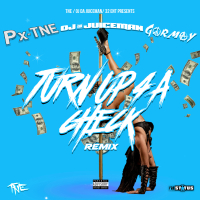 Turn Up 4 A Check (Remix) (Single)