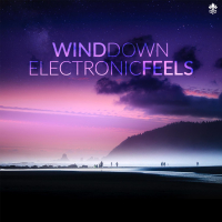 Wind Down Electronic Feels (Single)