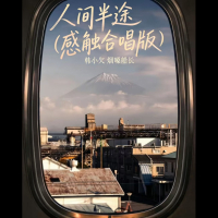 人间半途 (感触合唱版) (Single)