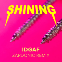 IDGAF (Zardonic Remix) (Single)