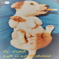 Life is Not a Choice (Single)