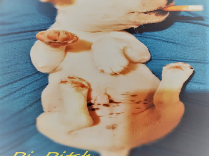 Life is Not a Choice (Single)