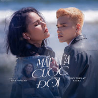 Mất Nửa Cuộc Đời (Single)