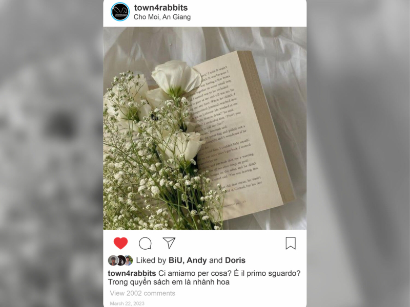 Trong Quyển Sách Em Là Nhành Hoa (Single)