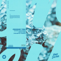 Choose You (Valentin Remix)