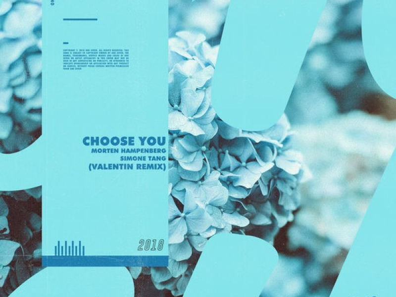 Choose You (Valentin Remix)