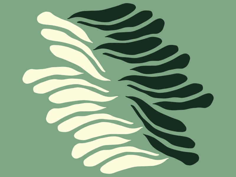 New Way Home (Single)