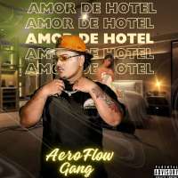 Amor De Hotel (Single)