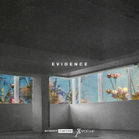 Evidence (Single)