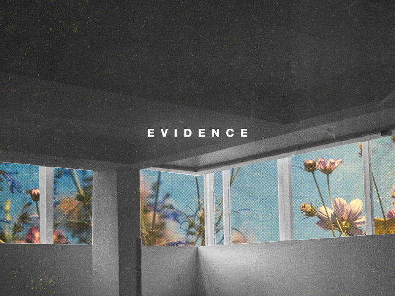 Evidence (Single)