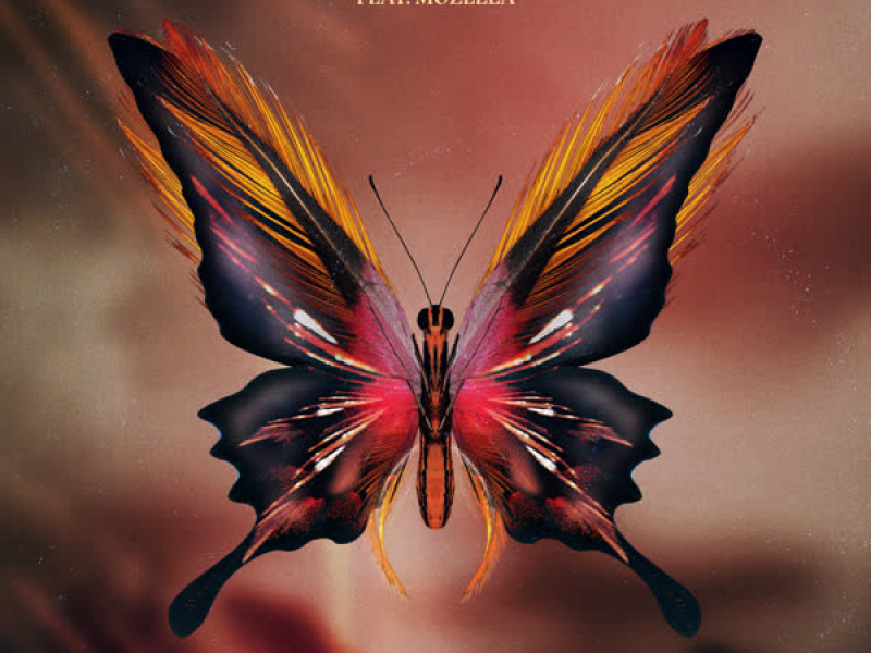 Gonna Be Alright (Single)