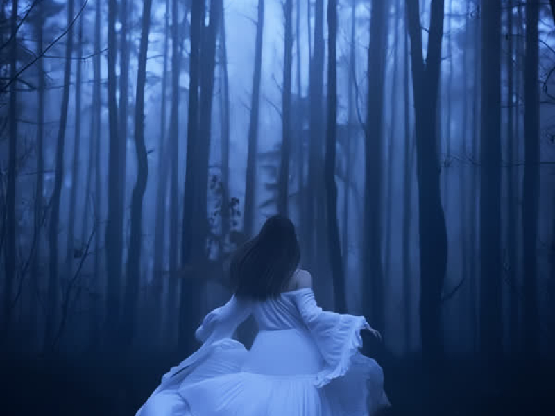 13 Reasons why (Single)