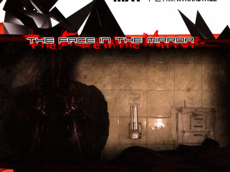 The Face In The Mirror