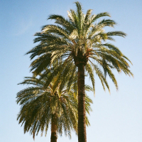 Exactly Where I Need To Be (Single)