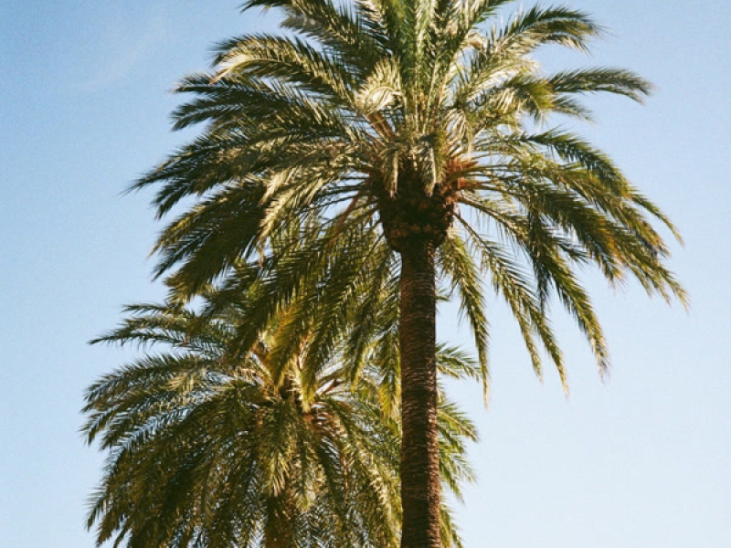 Exactly Where I Need To Be (Single)