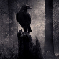 CORVO BRISANTE (Single)