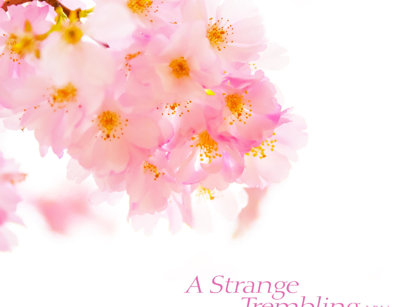 A Strange Trembling (Single)