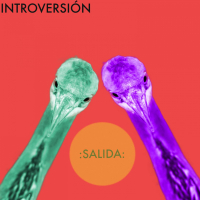 Salida 4 - Ojos de Garza (Single)