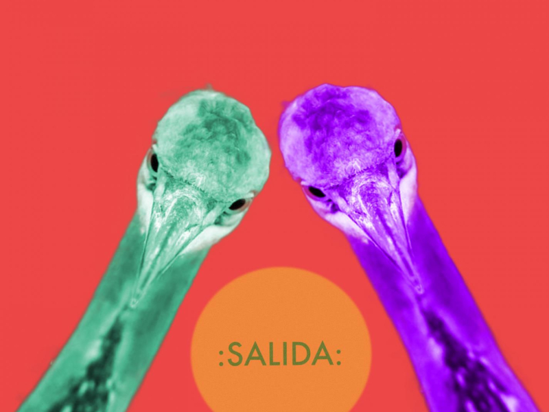 Salida 4 - Ojos de Garza (Single)