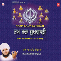 Naam Sada Sukhdai Vol-22 (Single)