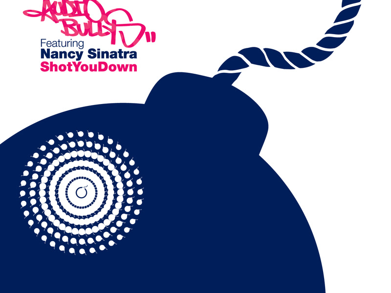 Shot You Down (Lee Cabrera 'Lower East Side' Mix) (Single)