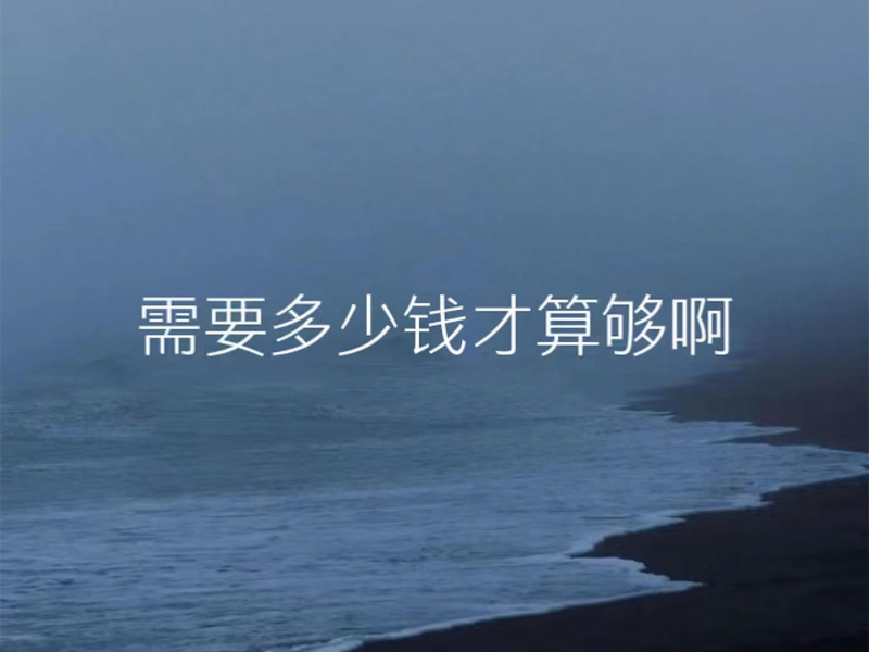 需要多少钱才算够啊 (悬溺0.8X旋律说唱版) (Single)