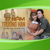 17 Năm Trường Hận (Single)