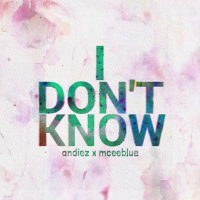 I Don't Know (Single)