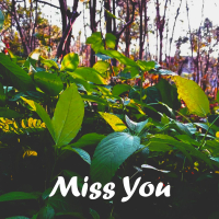 Miss You (Single)