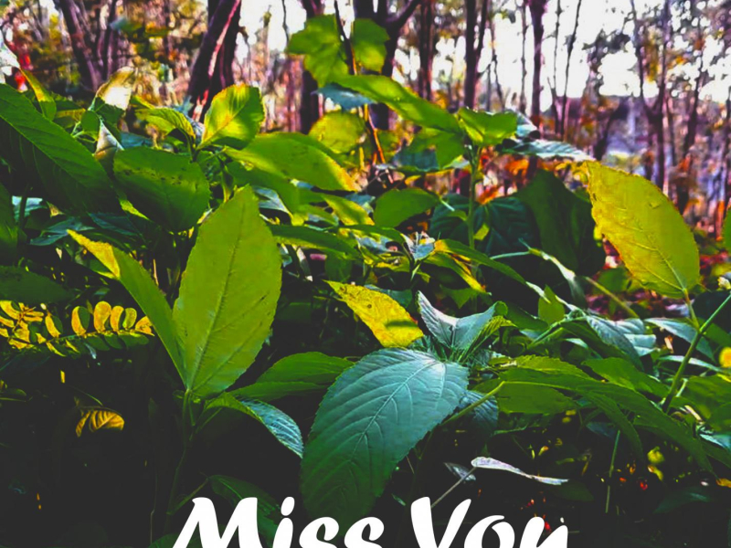 Miss You (Single)