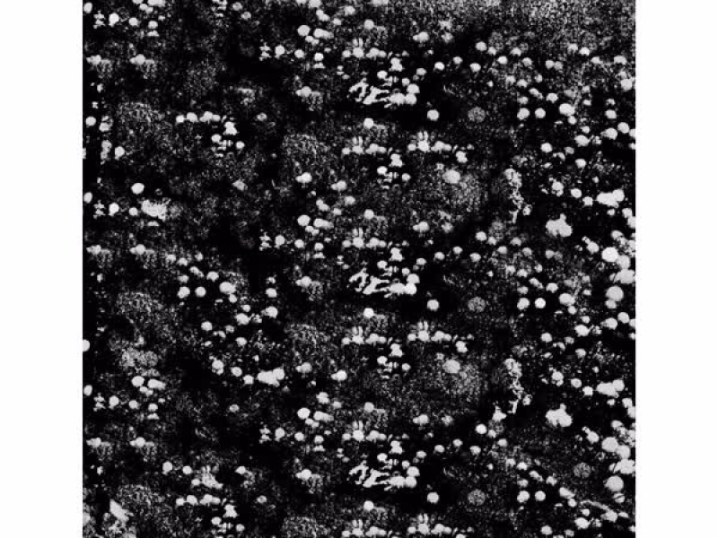 Circles on Circles (Single)