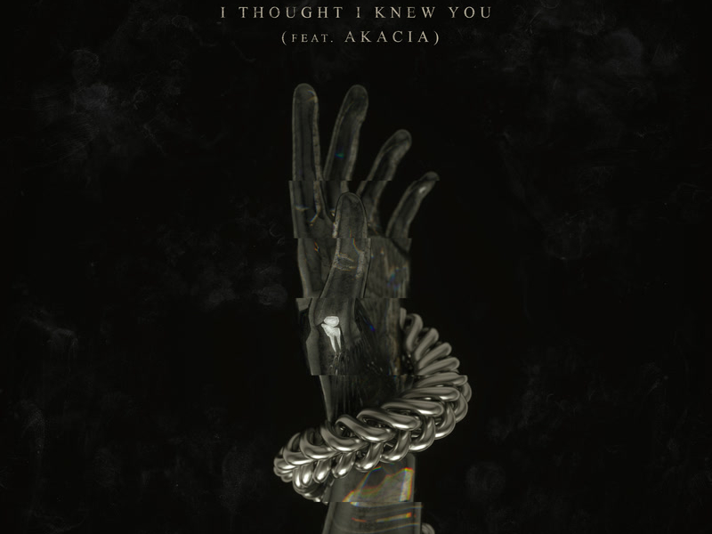 I Thought I Knew You (Single)