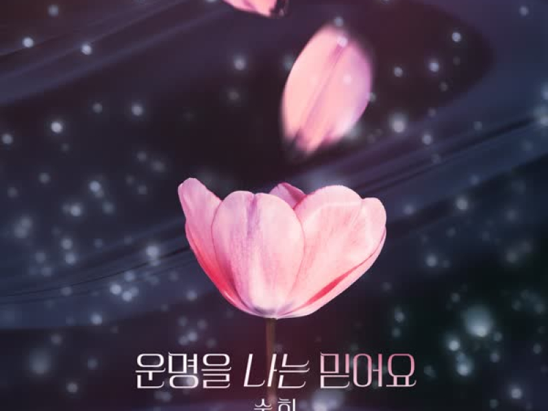 피도 눈물도 없이 OST Part.10 (Single)