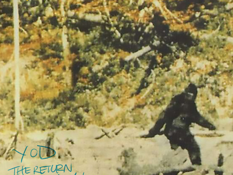 The Return Of Sasquatch (Single)