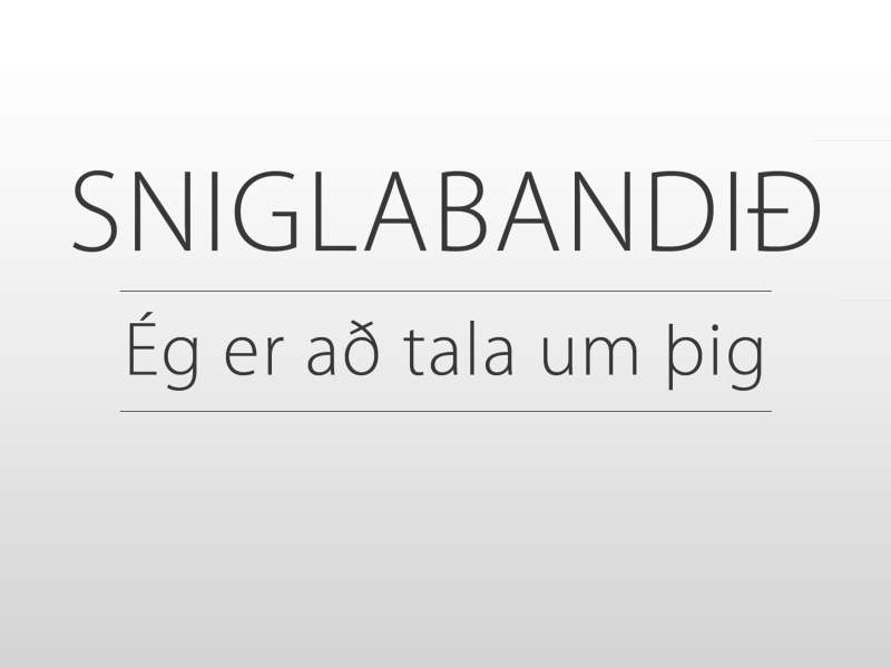 Ég Er Að Tala Um Þig (Single)