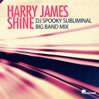 Shine (DJ Spooky Subliminal Big Band Mix) (Single)