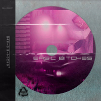 Basic Bitches (Single)