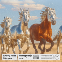 Rolling Deep (Single)