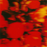 Lions & Cowards (Single)