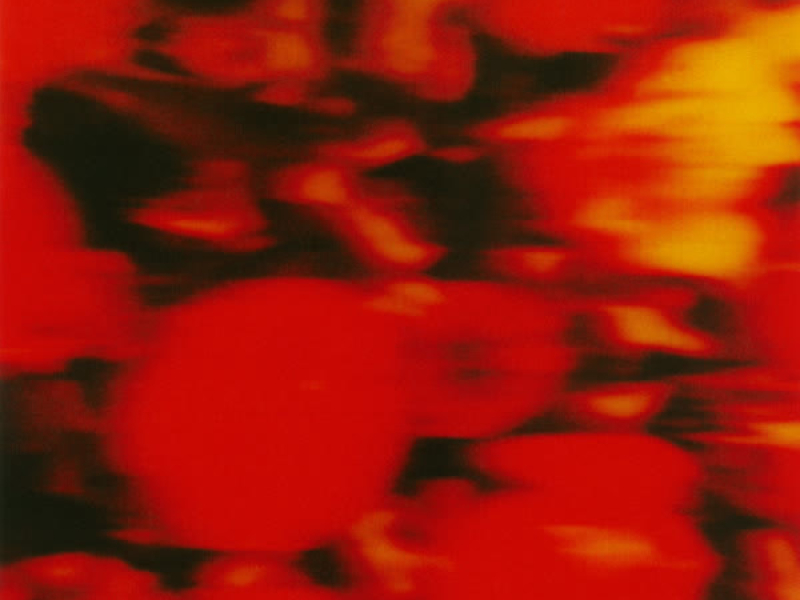 Lions & Cowards (Single)