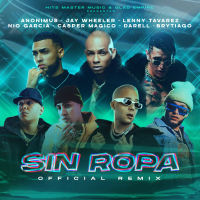 Sin Ropa (Remix) (Single)