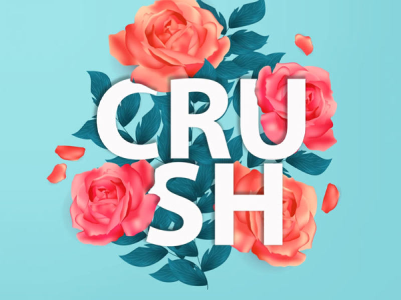 Crush (Single)